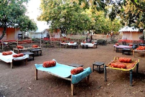Gir Pride Resort-5